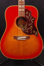 Gibson HummingBIrd