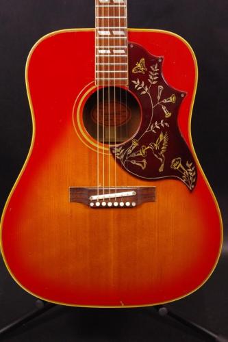 Gibson HummingBIrd