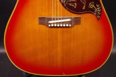 Gibson HummingBIrd_9