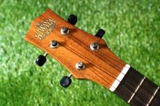 KIWAYA KPC-1K Concert_5