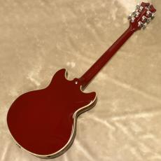 D'Angelico Premier Mini DC, Burnt Red_3