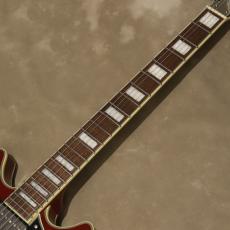 D'Angelico Premier Mini DC, Burnt Red_6