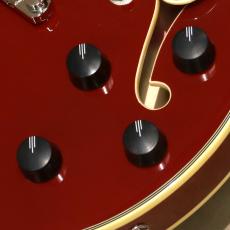 D'Angelico Premier Mini DC, Burnt Red_8