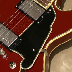 D'Angelico Premier Mini DC, Burnt Red_9
