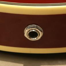 D'Angelico Premier Mini DC, Burnt Red_10