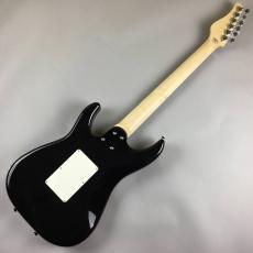 SCHECTER SD-2-24-Alder/Pau ferro Amber_5