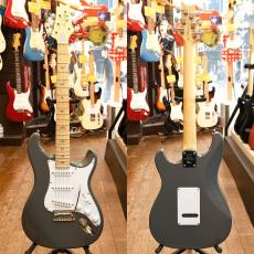 Paul Reed Smith [PRS] SE Silver Sky_2