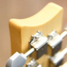 Paul Reed Smith [PRS] SE Silver Sky_3