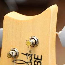 Paul Reed Smith [PRS] SE Silver Sky_4