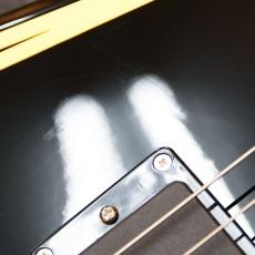 Edwards E-AL-128 SAWTOOTH_5