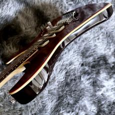 SCHECTER JAPAN NV-3-24-AL RED (See-thru Red) / Rosewood 【2025年製】【日本製】_10