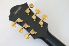 Ibanez PM3C / Black / 2.61kg【パット・メセニー】【お買い得アウトレット】_11