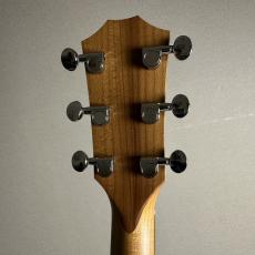 Taylor 14ce【現物画像】【最大36回分割無金利 実施中】_9