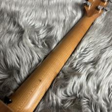 Taylor 14ce【現物画像】【最大36回分割無金利 実施中】_11