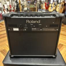 Roland CUBE-10GX Guitar Amplifier【現物画像】_5