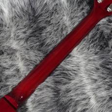 Tokai LS196QZ-CM TK_7