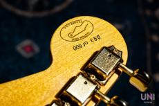 Fender Custom Shop Limited Edition H.L.E. Gold Stratocaster 099 of 500 / 1989_6