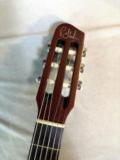 Godin 【USED】Multiac Nylon Duet Ambiance_4