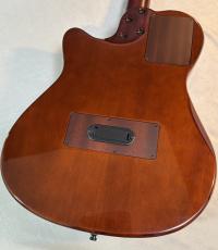 Godin 【USED】Multiac Nylon Duet Ambiance_6