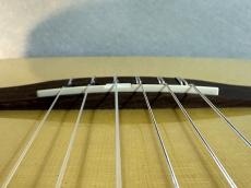 Godin 【USED】Multiac Nylon Duet Ambiance_10