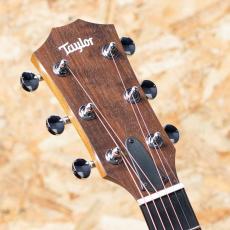 Taylor 14ce_4