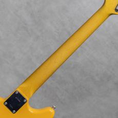 Vanzandt MGV-R2 Jacaranda Competition Orange / 2013_8