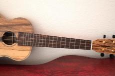 Yokoyama Guitars 【LAST STOCK !】【奥多摩産和材 / 限定モデル】Concert / YU 「黒柿 / くろかき」 #110_4