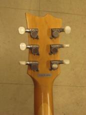 ESP Eclipse Semi Hollow_6