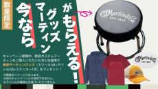 Martin 【イチオシ!・カスタムモデル】CTM 00-45S #2969052 【送料当社負担・最大48回分割無金利】_11