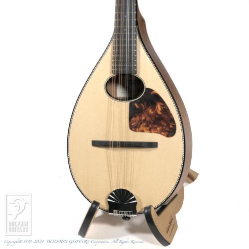 IWASHITA MANDOLINS&GUITARS tote dmh (Mahogany)