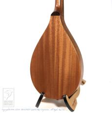 IWASHITA MANDOLINS&GUITARS tote dmh (Mahogany)_4