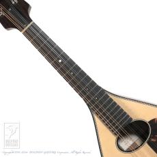 IWASHITA MANDOLINS&GUITARS tote dmh (Mahogany)_5