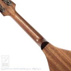 IWASHITA MANDOLINS&GUITARS tote dmh (Mahogany)_6