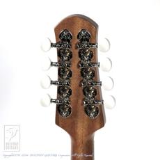 IWASHITA MANDOLINS&GUITARS tote dmh (Mahogany)_8