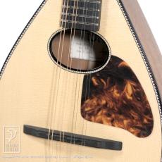 IWASHITA MANDOLINS&GUITARS tote dmh (Mahogany)_10
