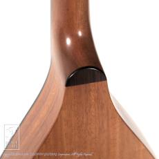 IWASHITA MANDOLINS&GUITARS tote dmh (Mahogany)_11