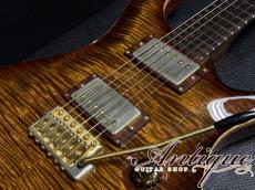 Paul Reed Smith [PRS] 2011 YOKOHAMA Limited Custom 24 10Top Black Gold Burst w/Up-Grade Wood Parts 3.53kg "Rosewood Neck"_7