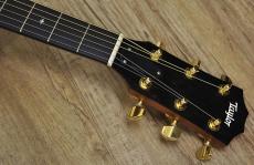 Taylor 214ce koa DLX_5