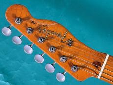 Fender TELECASTER BLD/M_5