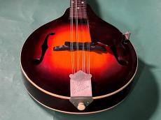 Gibson A-50_11