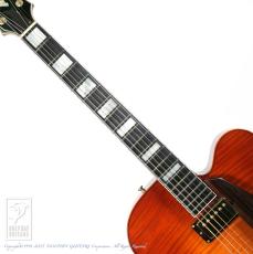 D'Aquisto DQ-JZ Jazz Line (Violin Burst)【48回無金利対象品】_5