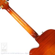 D'Aquisto DQ-JZ Jazz Line (Violin Burst)【48回無金利対象品】_6