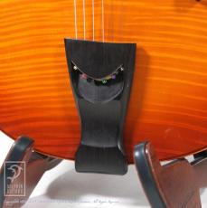 D'Aquisto DQ-JZ Jazz Line (Violin Burst)【48回無金利対象品】_11