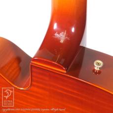 D'Aquisto DQ-JZ Jazz Line (Violin Burst)【48回無金利対象品】_13