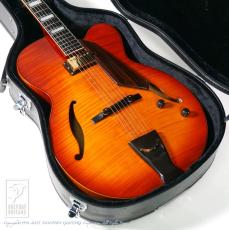 D'Aquisto DQ-JZ Jazz Line (Violin Burst)【48回無金利対象品】_14