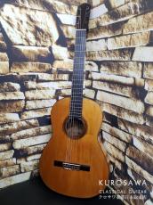 Domingo Esteso ドミンゴ・エステソ 1922年製 松・シープレス・ペグヘッド 【日本総本店2F 在庫品】_2