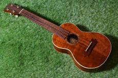 Hamada Guitars Tokyo C-006 Concert_2