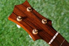 Hamada Guitars Tokyo C-006 Concert_5