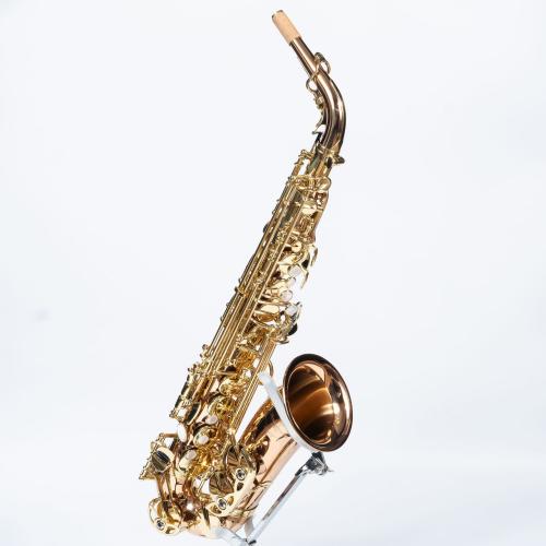 YANAGISAWA A-WO20 アルトサックス ブロンズブラス製 【現物画像】