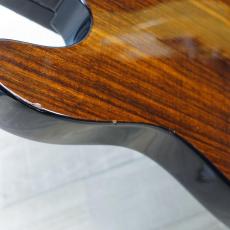 Fender TL-ROSE【2014年製】_7